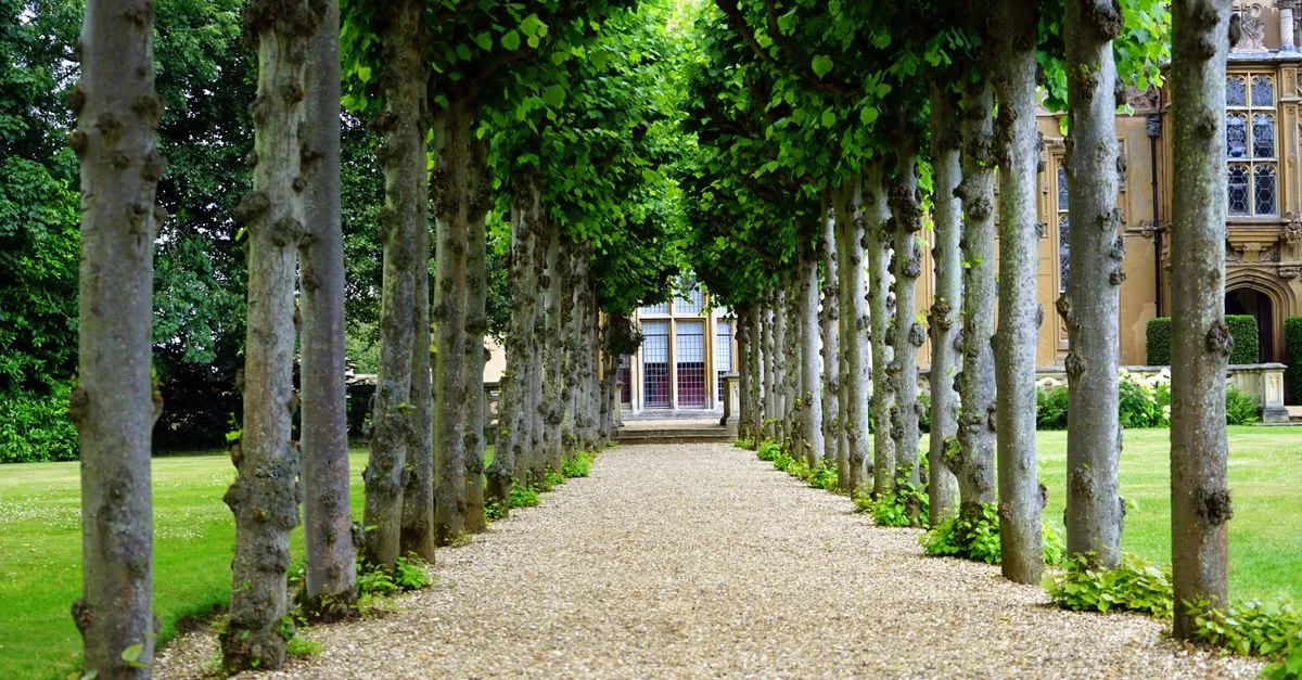 Allée de jardin paisible avec des arbres menant à un bâtiment historique.