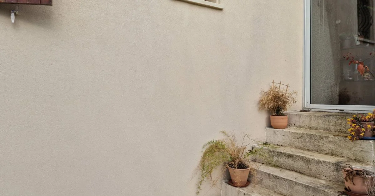 Escaliers extérieurs en pierre avec plantes en pot adossés à un mur beige, cadre naturel.