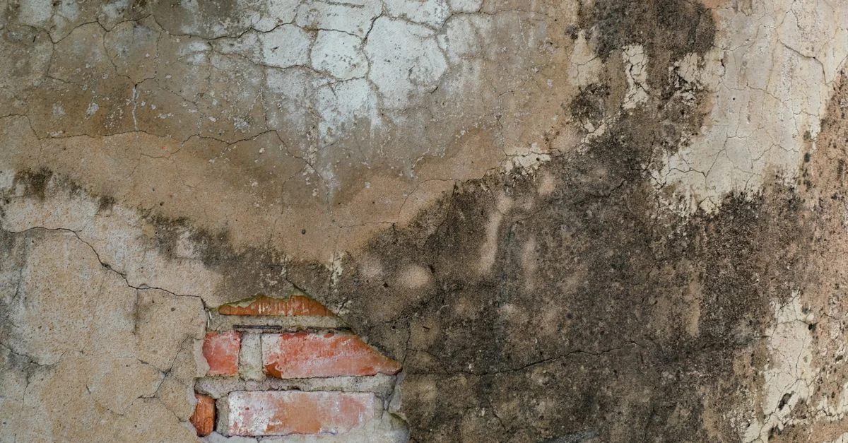 Gros plan d'un mur en brique usé montrant des fissures, de la peinture écaillée et des textures naturelles.