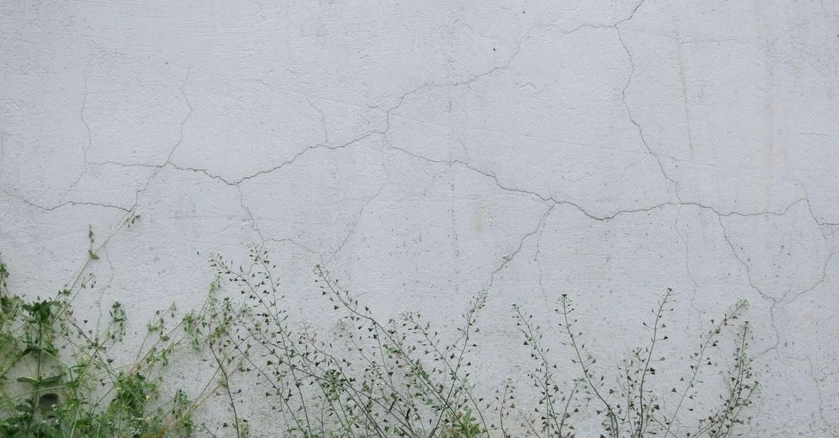 Mur usé avec des fissures visibles et des plantes envahissantes, parfait pour des thèmes de texture ou de décadence.