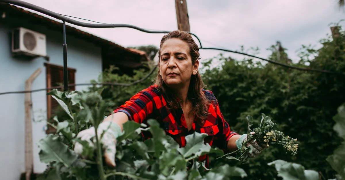 Une femme s'occupe soigneusement des plantes dans un jardin extérieur, mettant en valeur l'activité agricole.