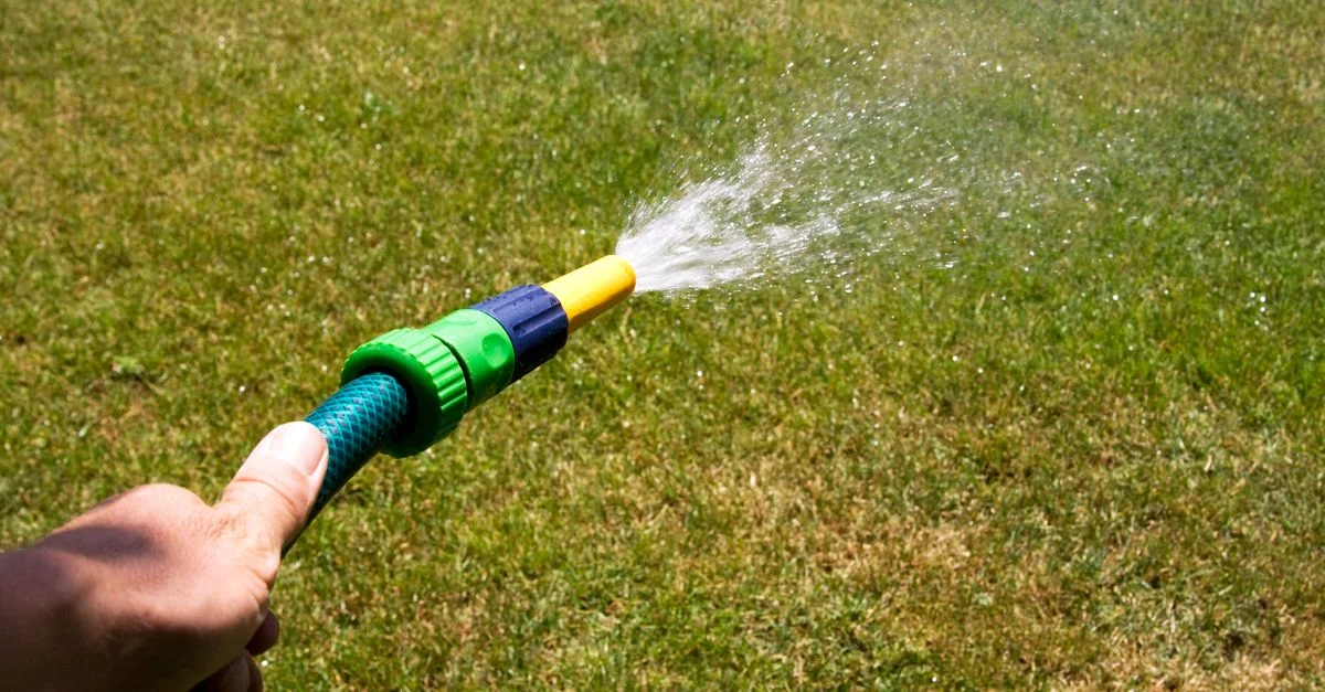 Gros plan d'un tuyau de jardin pulvérisant de l'eau sur de l'herbe, illustrant l'entretien de la pelouse durant une journée ensoleillée.